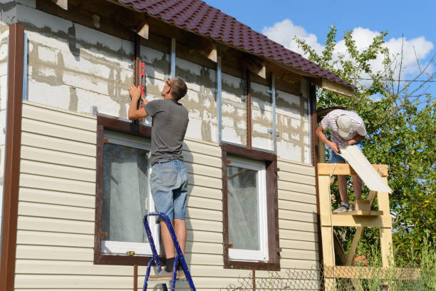 Best Steel Siding Installation  in Sylvester, GA